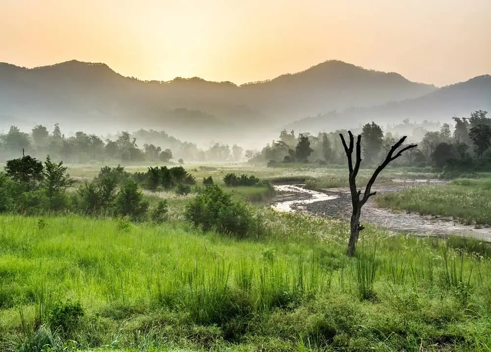 Satyanarayan/Kansaro Zone